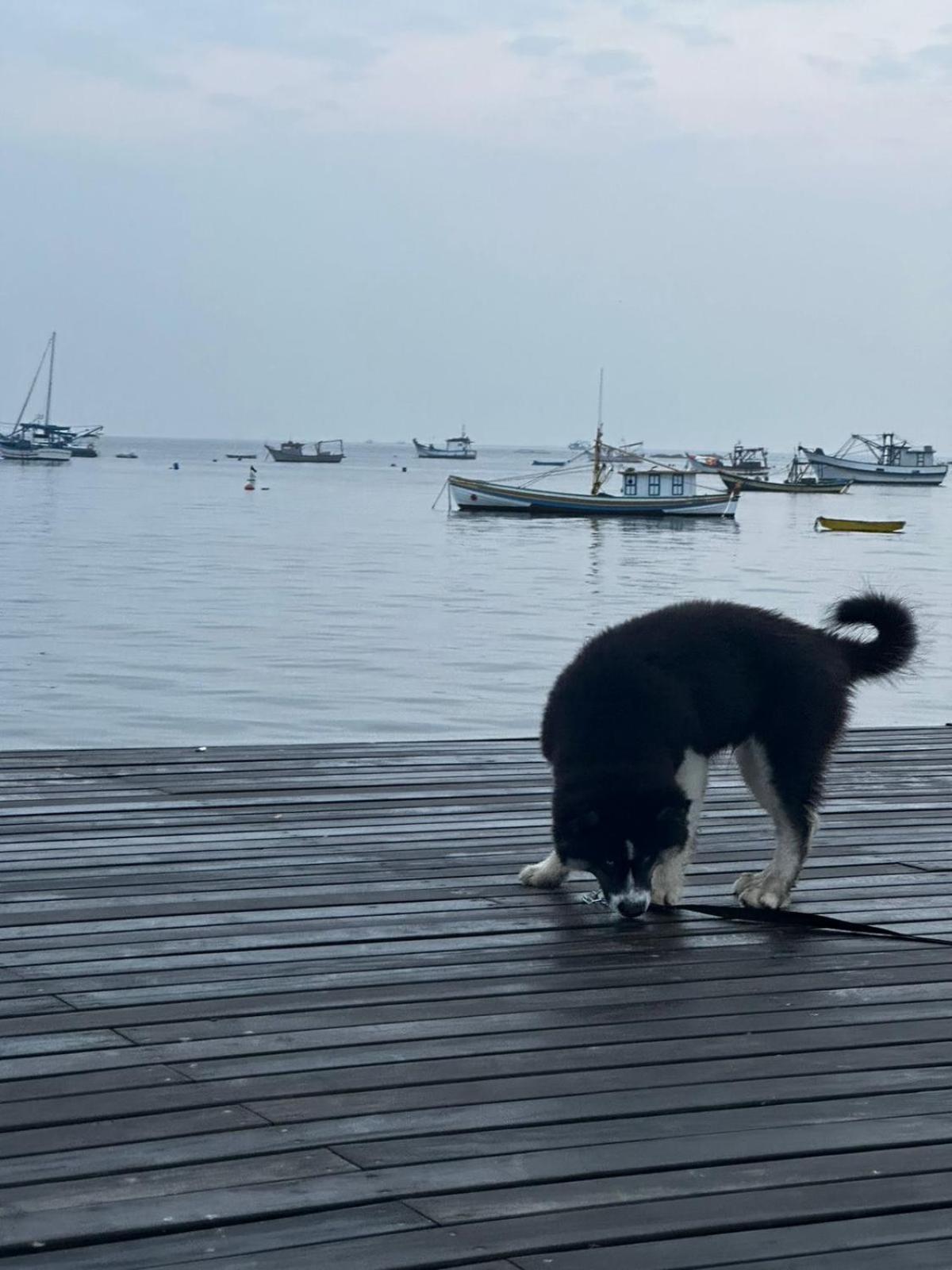 Pousada Refugio Paradisiaco 1 Piçarras Εξωτερικό φωτογραφία